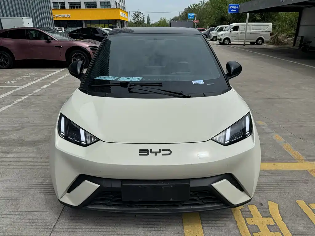 BYD Seagull 2024