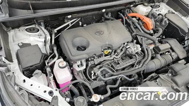 Toyota RAV4 2023