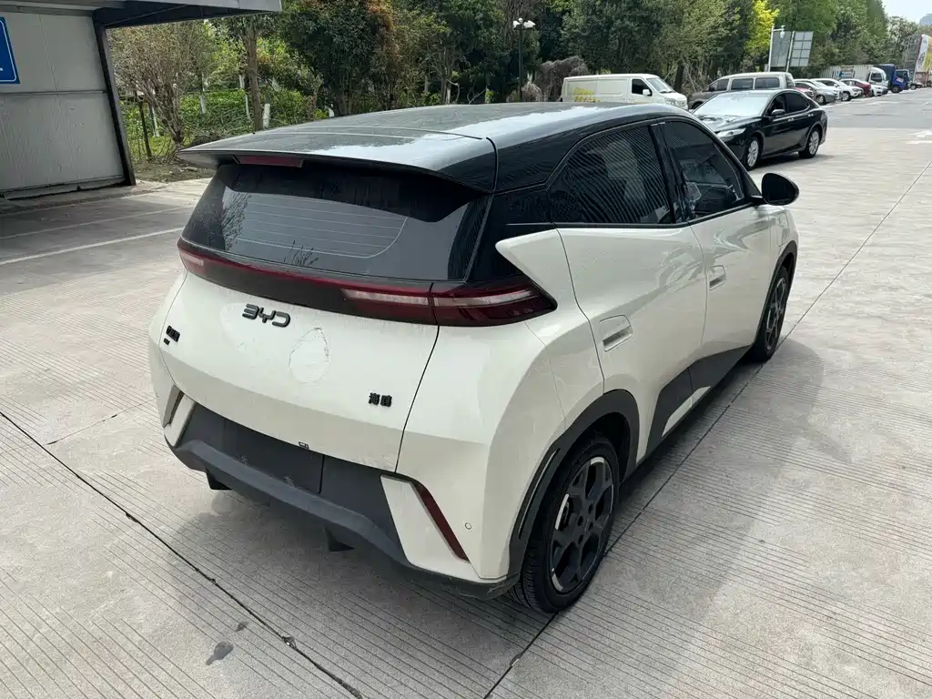 BYD Seagull 2024