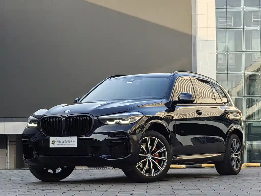 BMW X5 2022