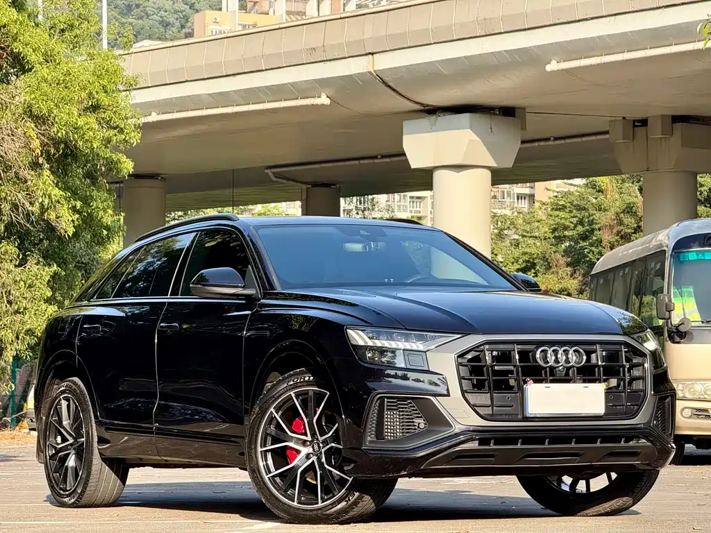 Audi Q8 2020