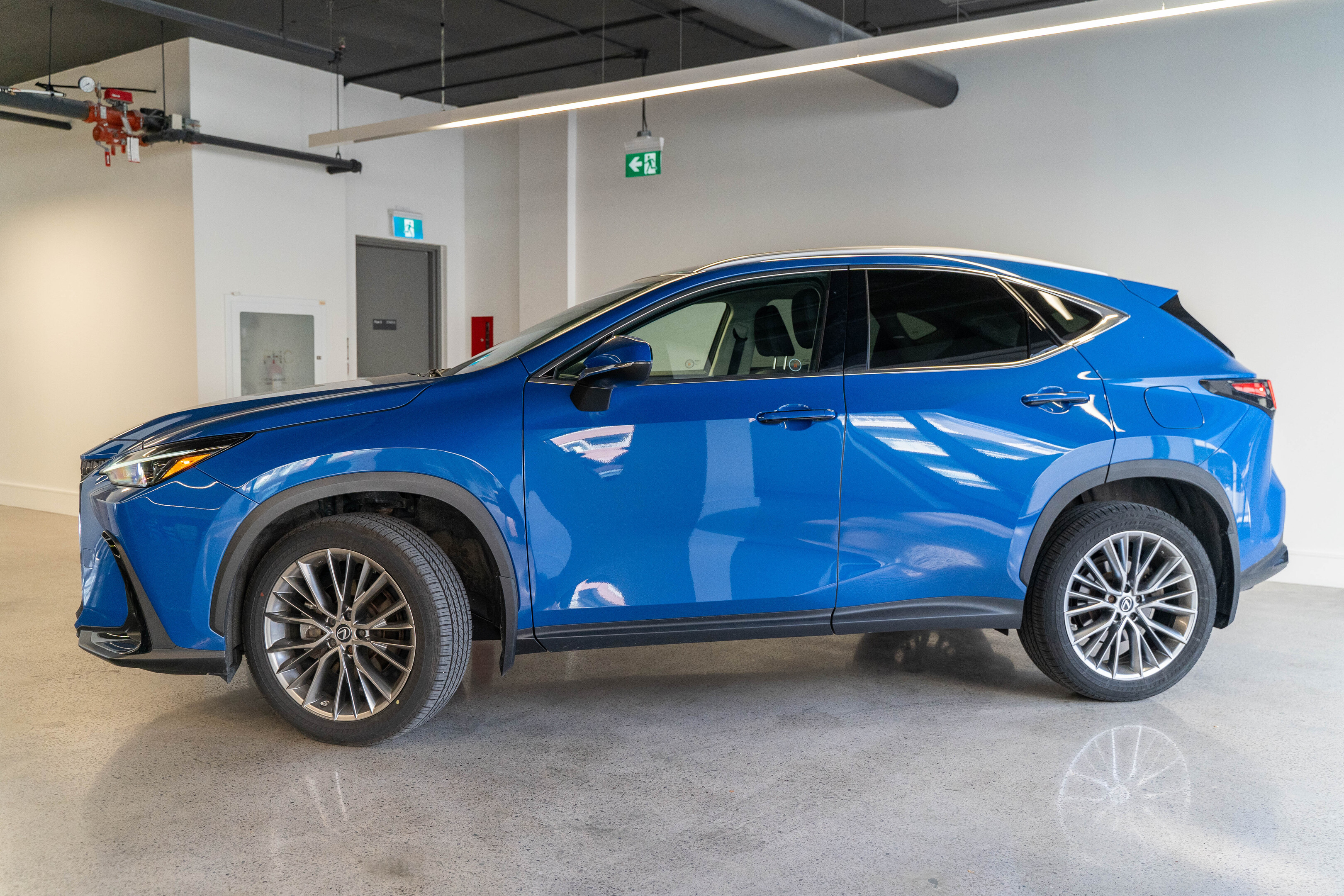 Lexus NX 2022