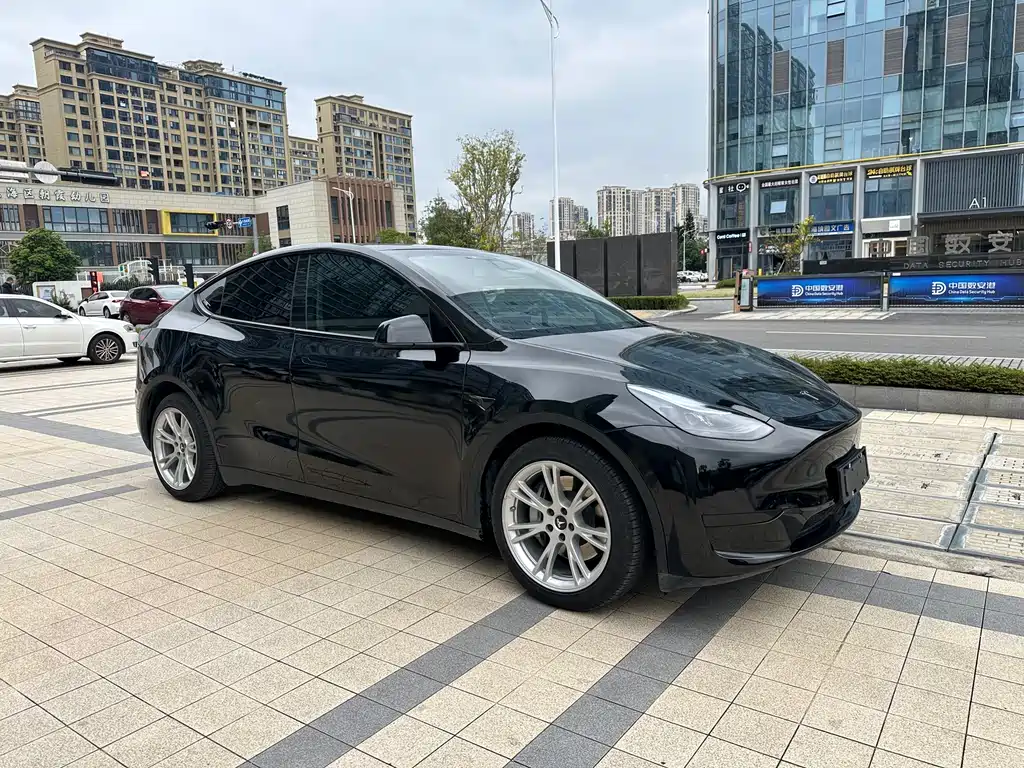 Tesla Model Y 2021