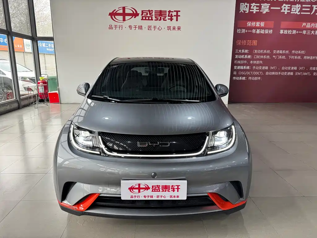 BYD Dolphin 2022