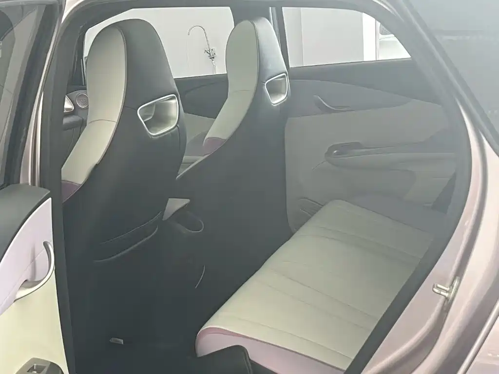 BYD Dolphin 2022