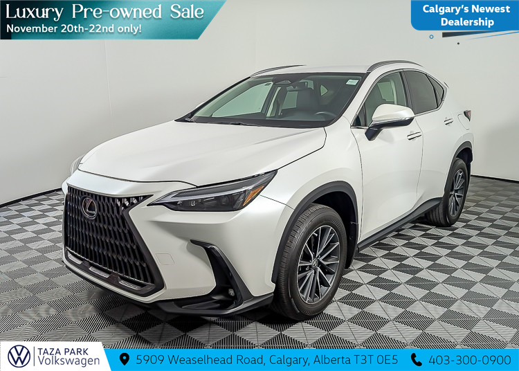 Lexus NX 2022