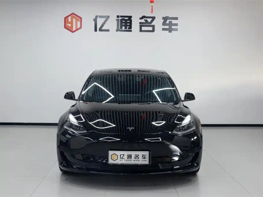 Tesla Model 3 2021