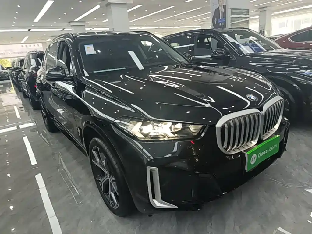 BMW X5 2025
