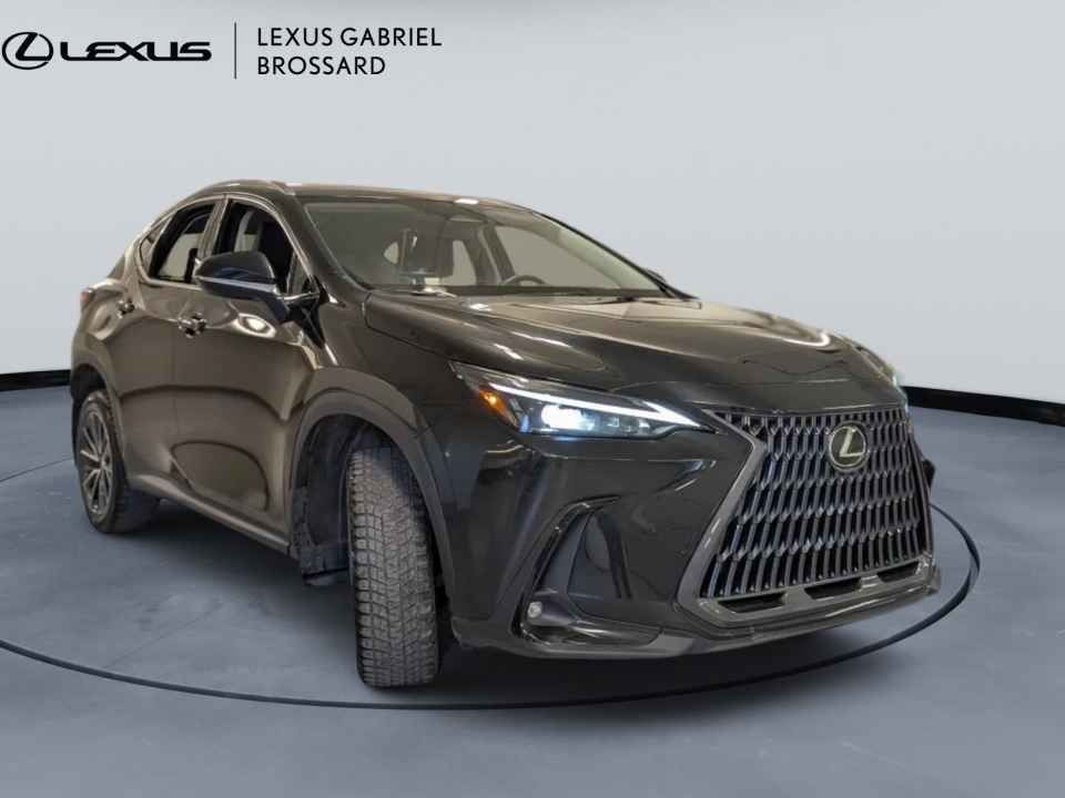 Lexus NX 2022