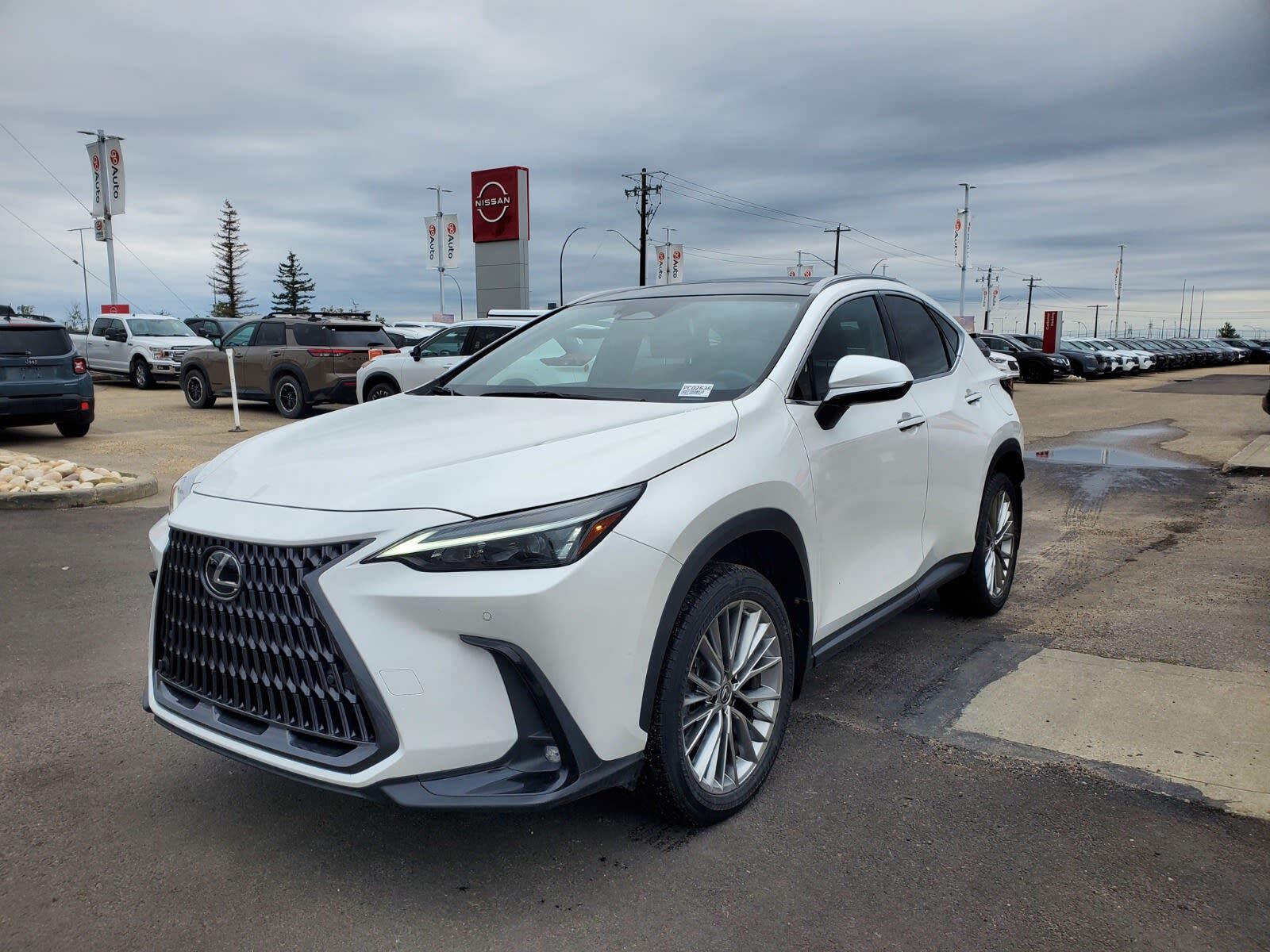 Lexus NX 2022