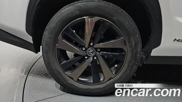 Lexus NX 2020