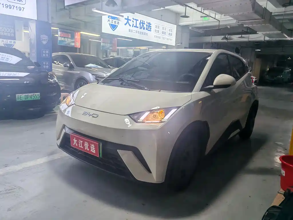 BYD Seagull 2024