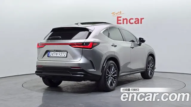 Lexus NX 2023