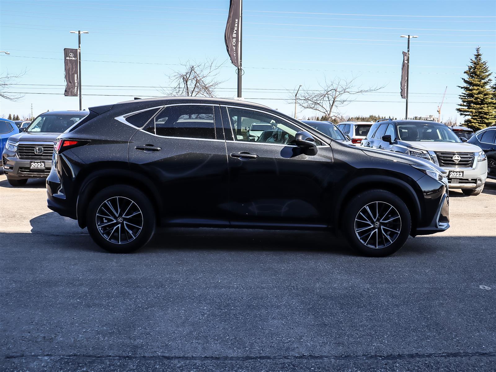 Lexus NX 2024