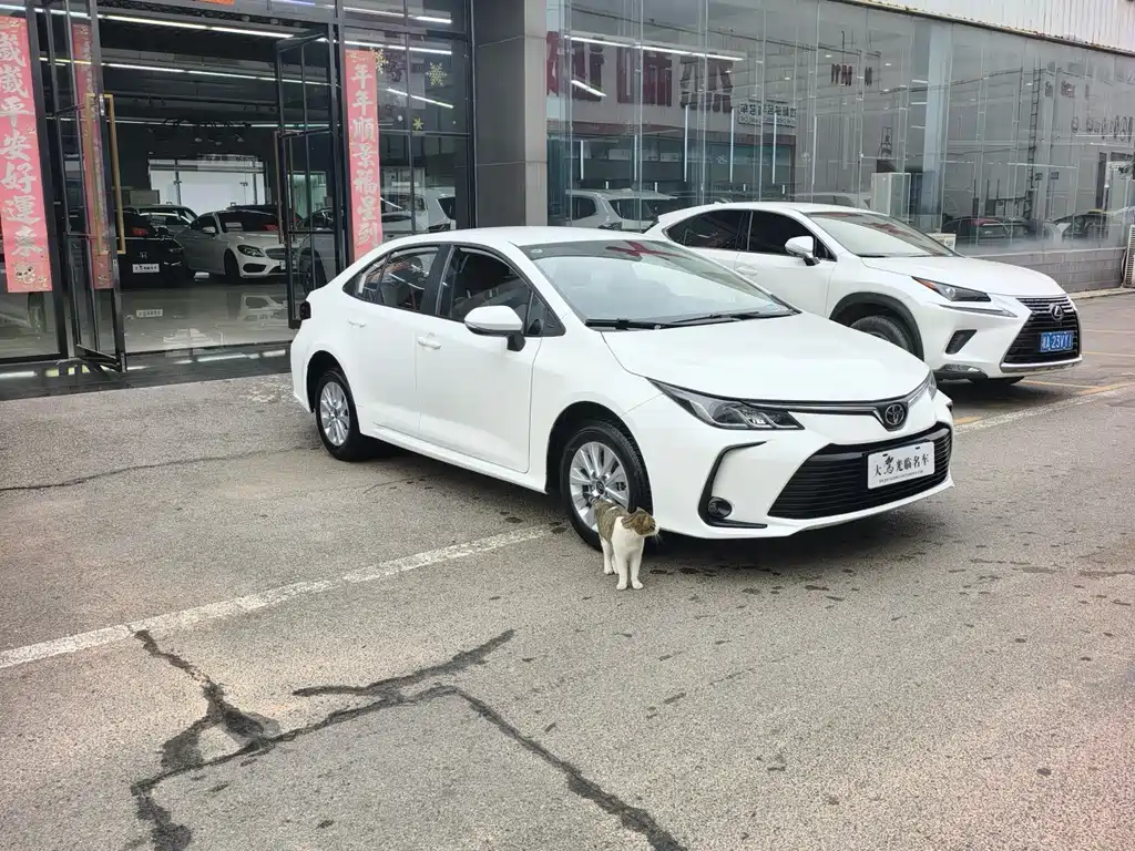 Toyota Corolla 2024