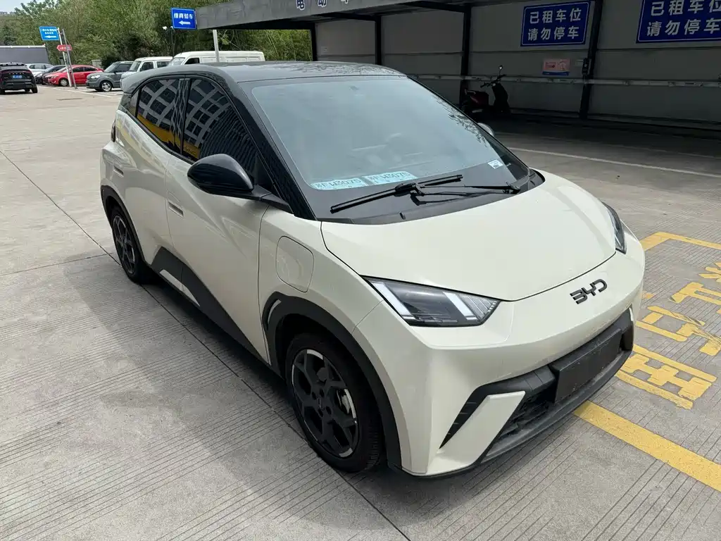 BYD Seagull 2024