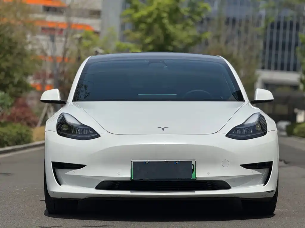 Tesla Model 3 2021