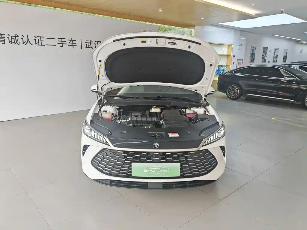 BYD Qin 2025
