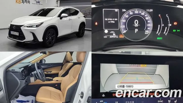Lexus NX 2024