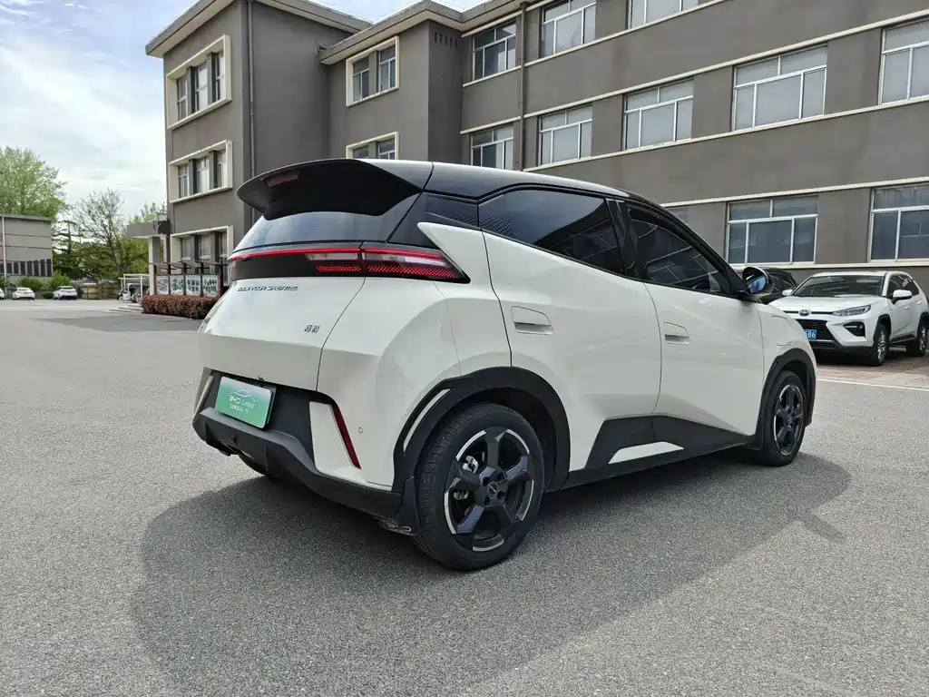 BYD Seagull 2024