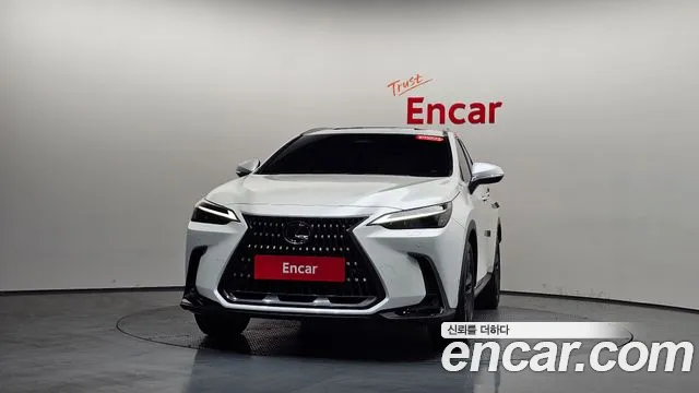 Lexus NX 2024