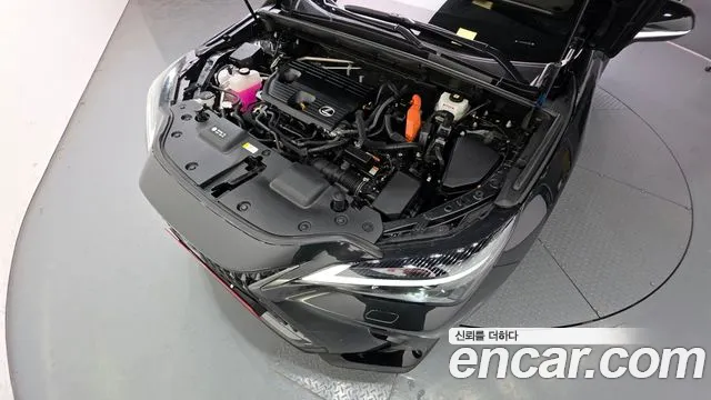 Lexus NX 2023