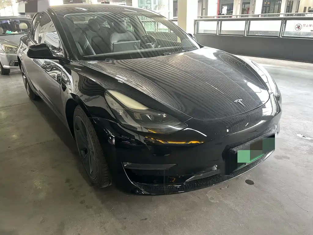 Tesla Model 3 2021