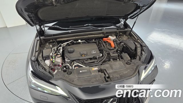 Lexus NX 2023