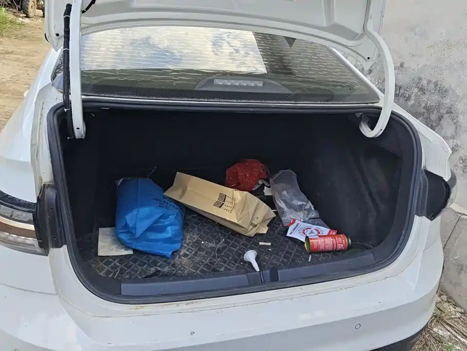 Volkswagen Lavida 2024