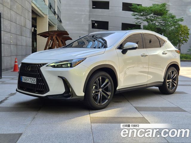 Lexus NX 2025