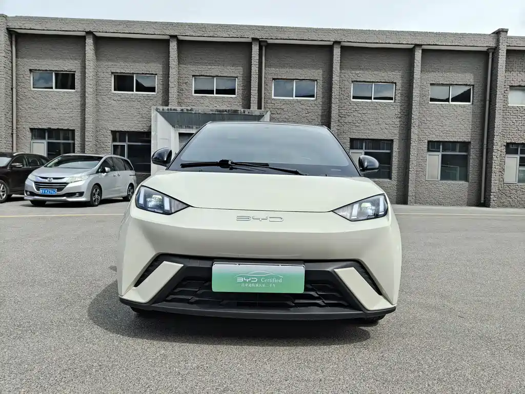 BYD Seagull 2024