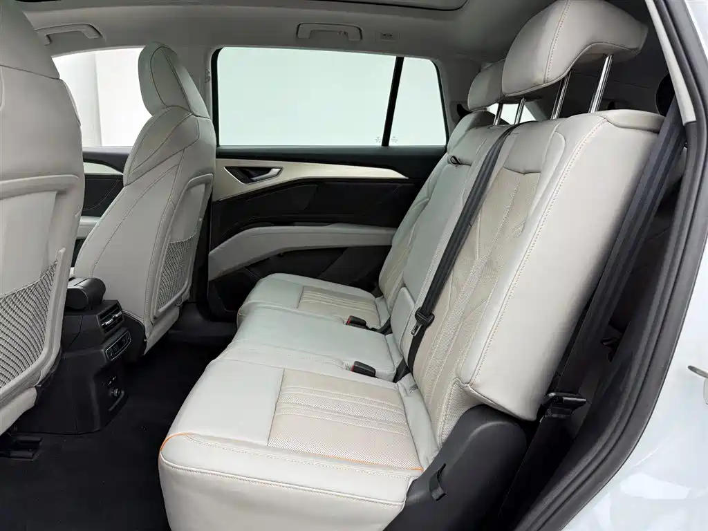 Audi Q5 e-tron 2024