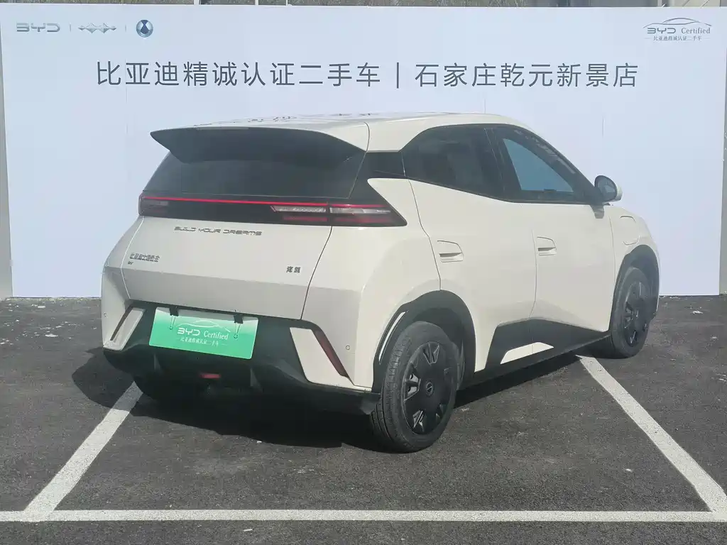 BYD Seagull 2024