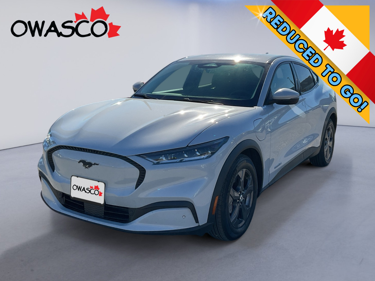 Ford Mustang Mach-E 2022