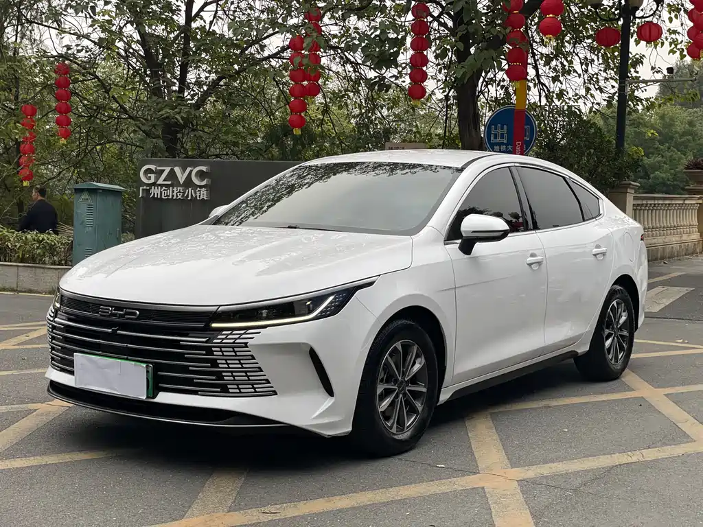 BYD Destroyer 05 2024