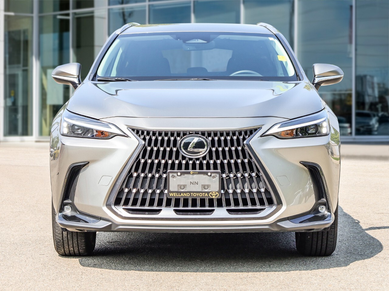 Lexus NX 2024