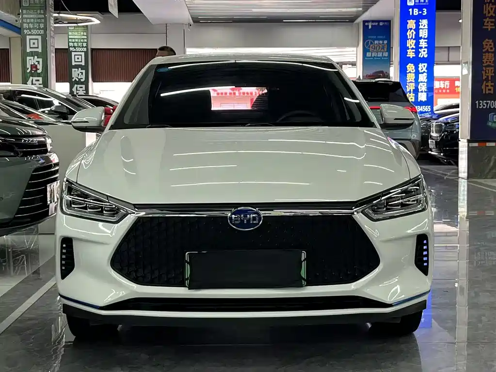 BYD E2 2021