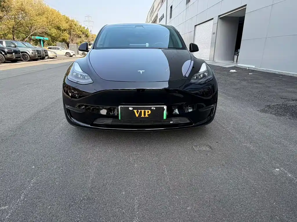 Tesla Model Y 2025