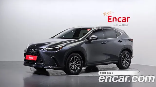 Lexus NX 2023
