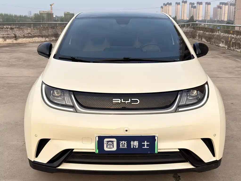 BYD Dolphin 2024