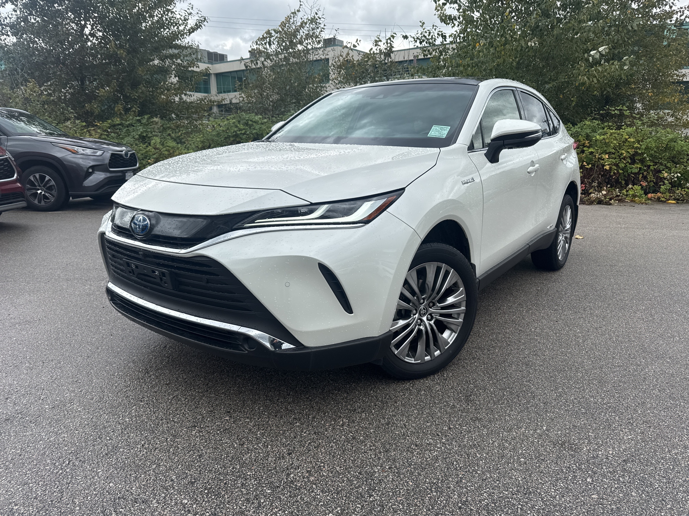 Toyota Venza 2021