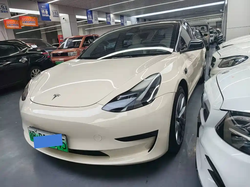 Tesla Model 3 2021