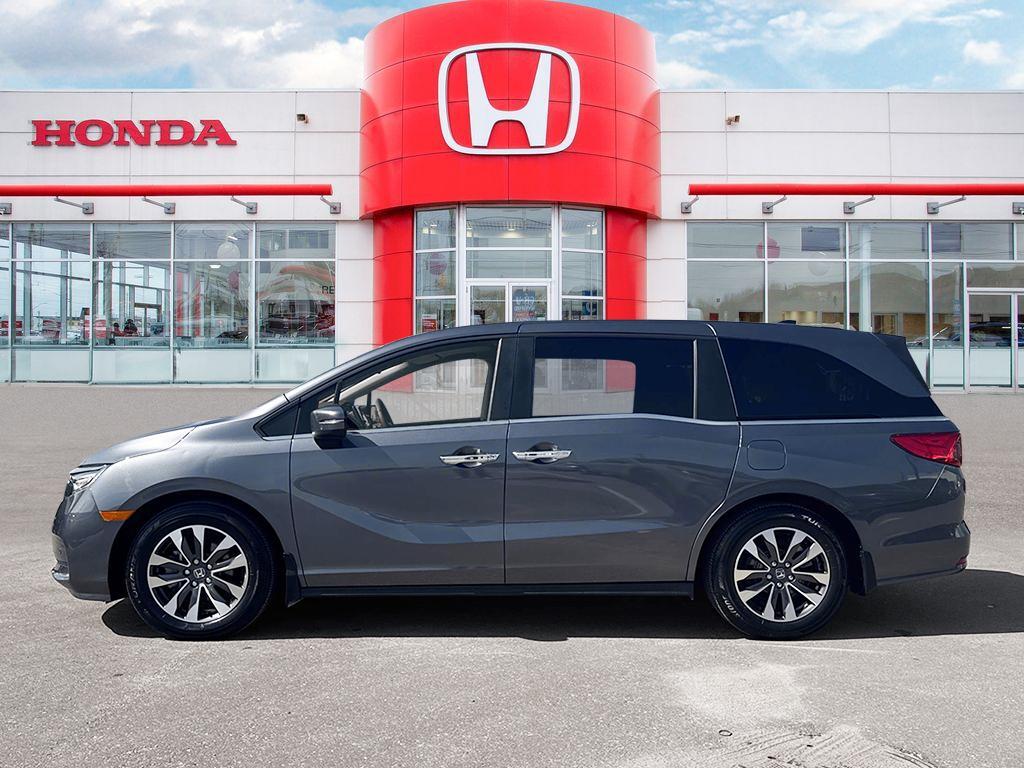 Honda Odyssey 2024