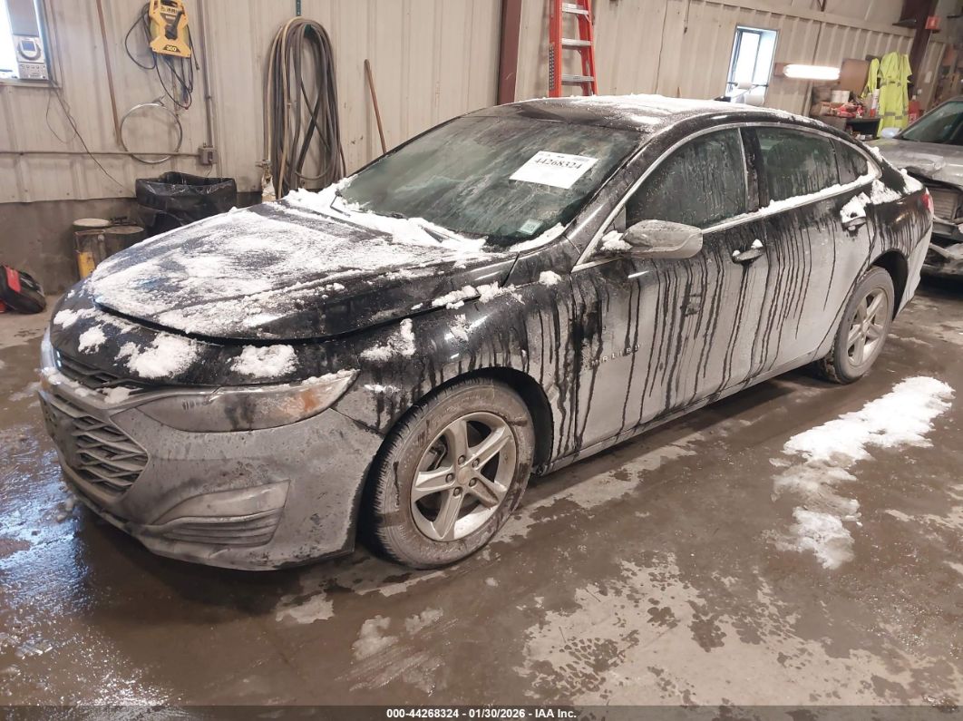 Chevrolet Malibu 2024