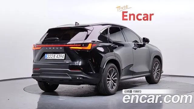 Lexus NX 2024
