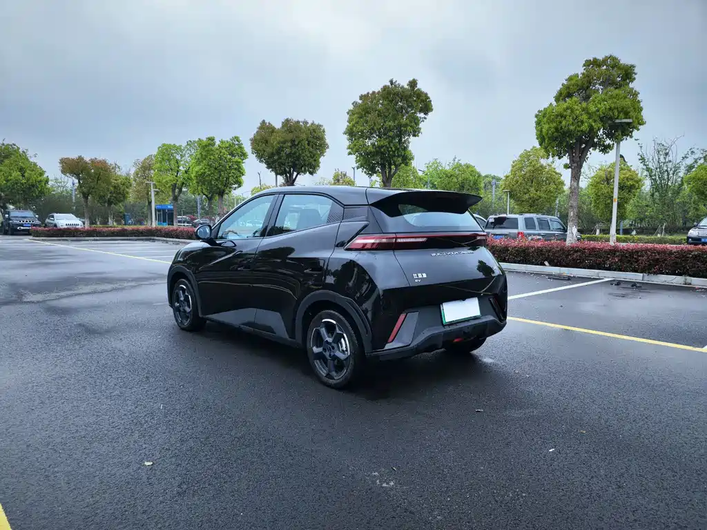 BYD Seagull 2024