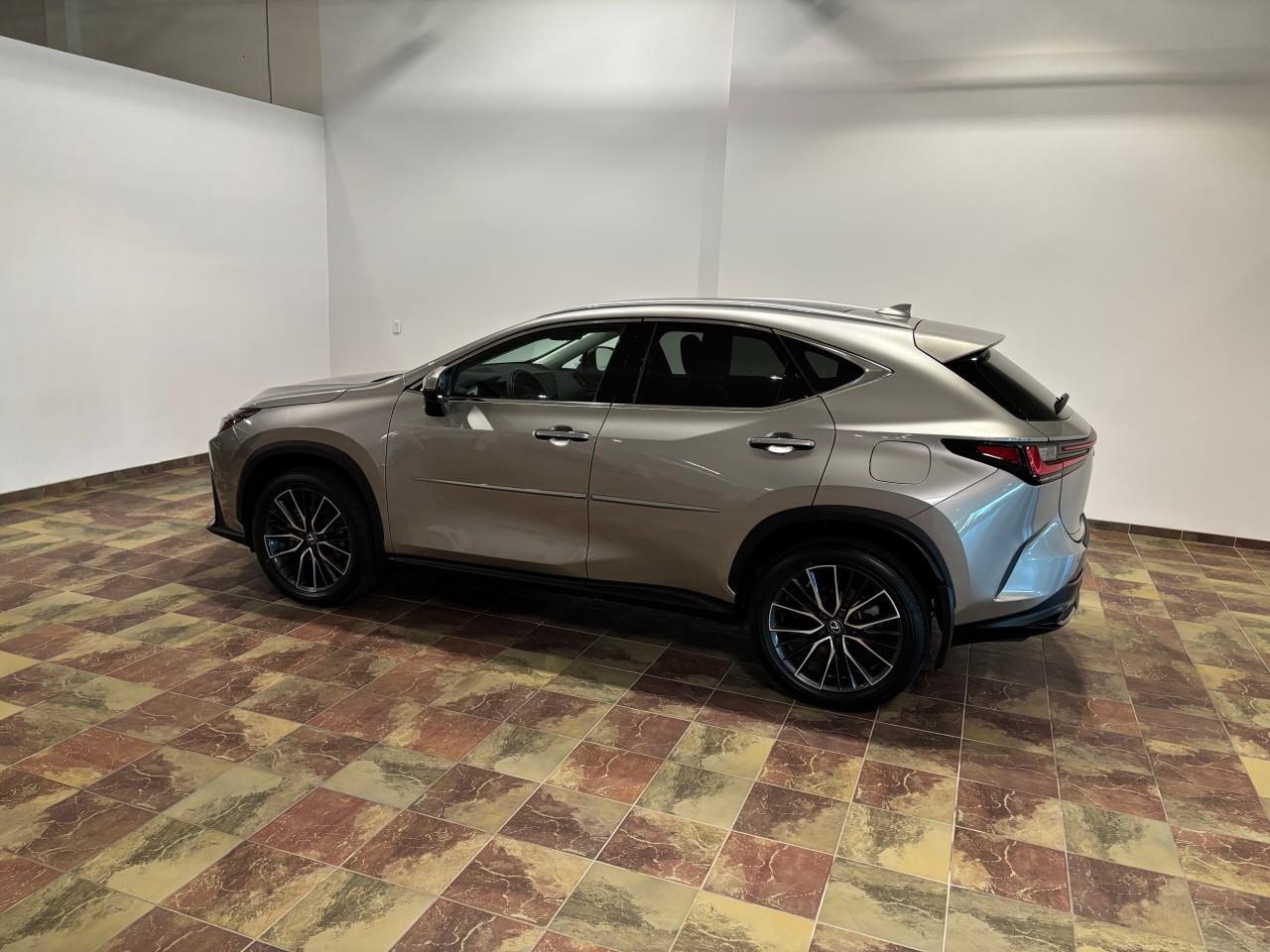 Lexus NX 350 2024