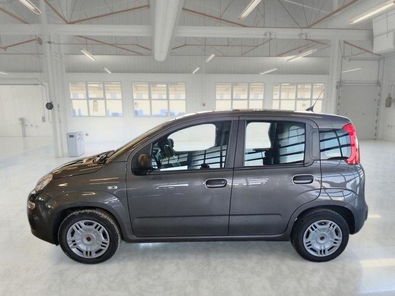 Fiat Panda 2021
