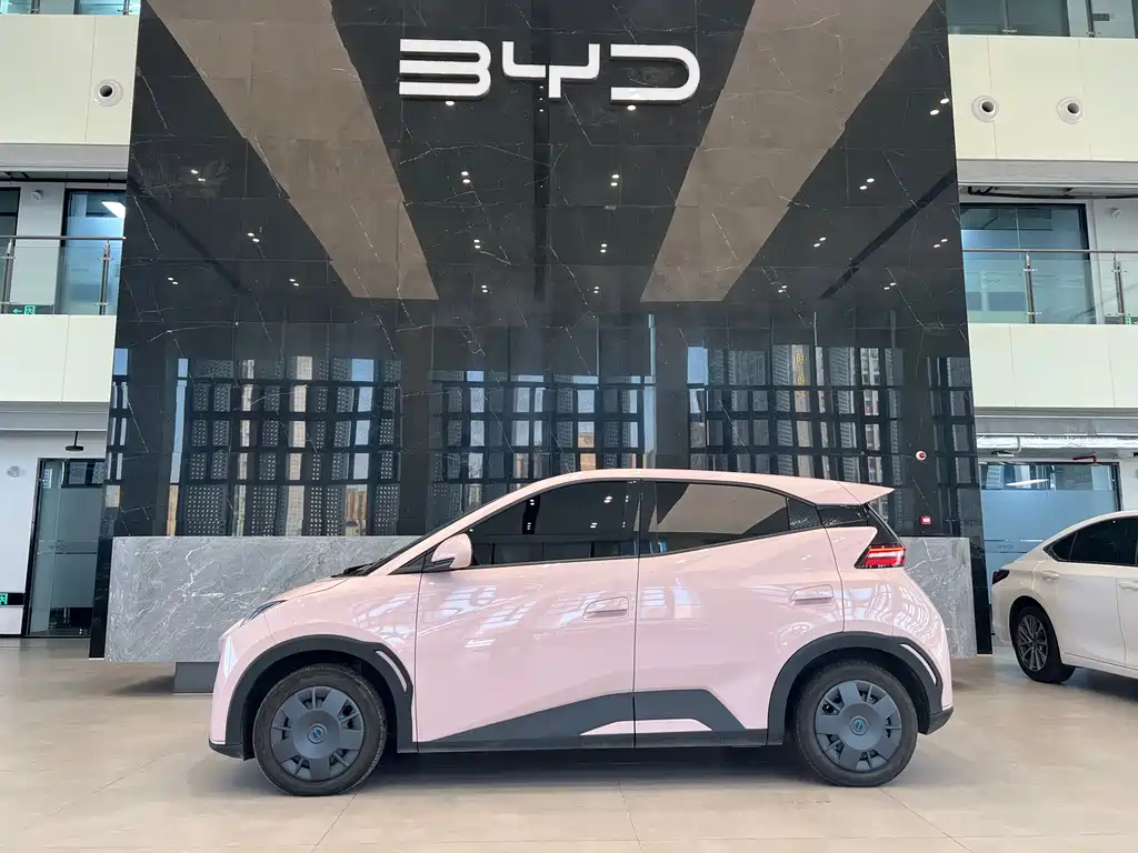 BYD Seagull 2024