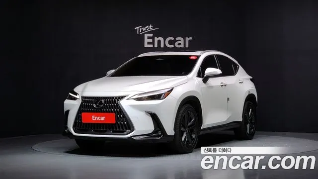 Lexus NX 2024